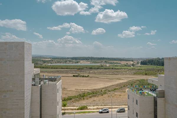 נרקיס 24, חריש