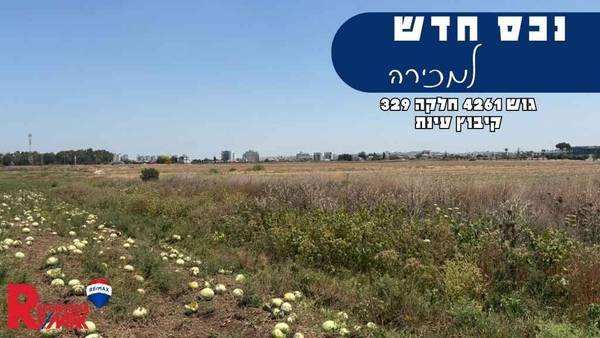 גוש 4261 חלקה 329, עינת