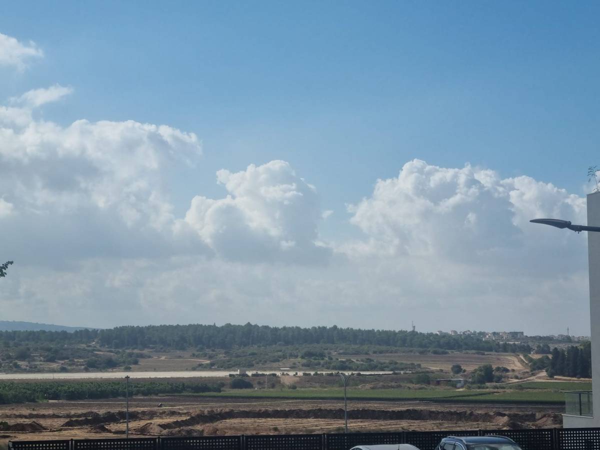 נרקיס, חריש
