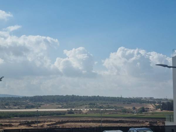 נרקיס, חריש